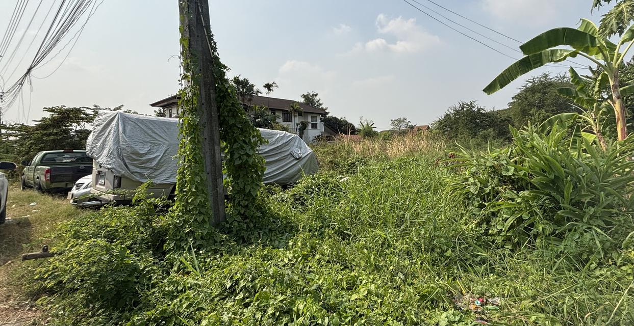 ที่ดินเฉลิมพระเกียรติ 8
