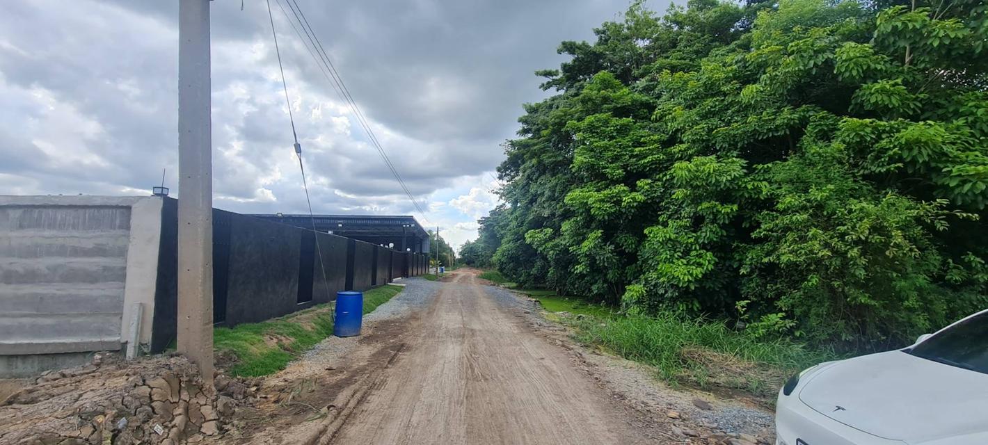 ขายที่ดิน บางเลน 1 ไร่ 2 งาน 97 ตรว  ตรว.ละ 3,500 บาท  เข้าทางซอยประมาณ 150 เมตร ที่ดินอยู่ทางขวามือ ติดต่อ 095-7897915 4