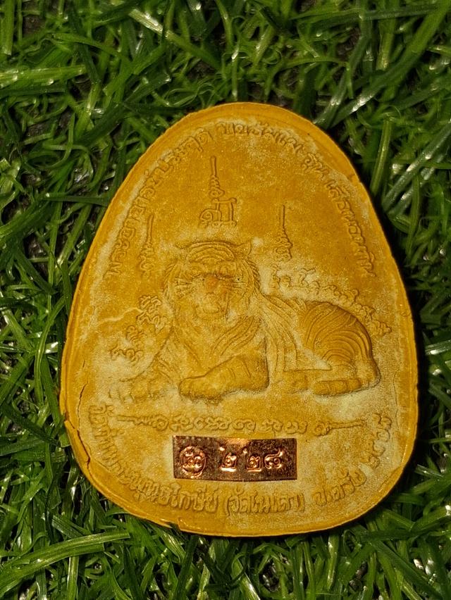 พระปิดตาพญาเสือนอนกิน รุ่นแรก วัดถ้ำพระพุทธโกษีย์(วัดในเตา) จ.ตรัง พระอาจารย์ประสูติ 3