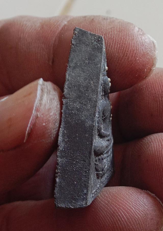 พระสมเด็จจิตรลดา2 พระพลังแผ่นดิน 6