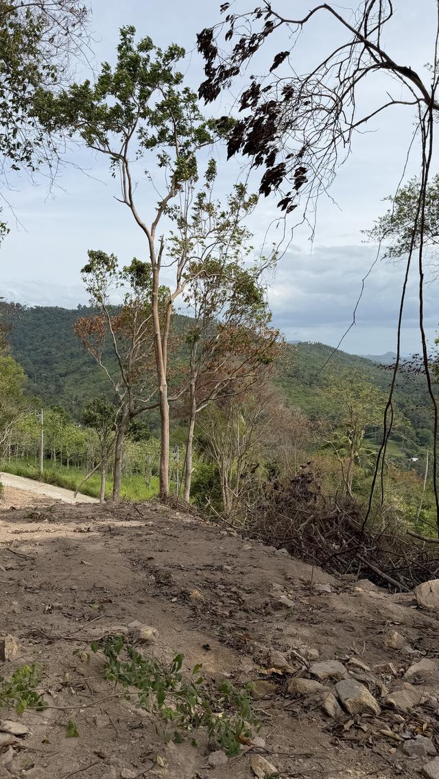Prime Sunset & Sea View Land for Sale in Koh Samui – A Rare Investment Opportunity! 16