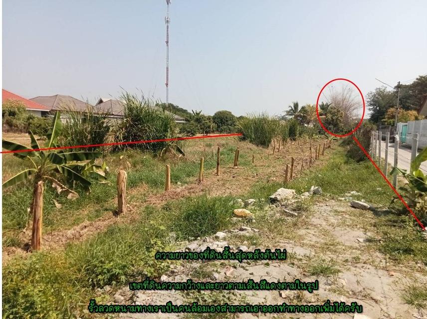 ที่ดินเปล่า/ไม่แบ่งขาย 10