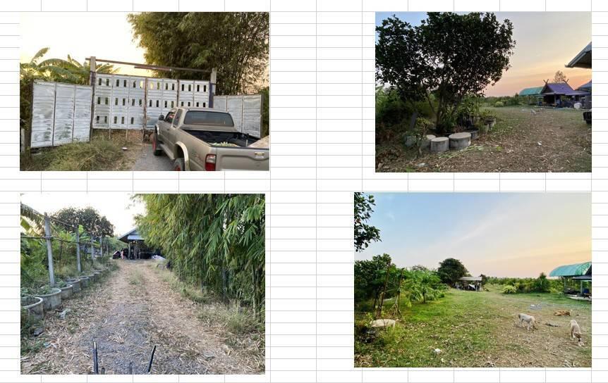 ที่ดิน บางพุทโธ ต.ตะลุง อ.เมือง จ.ลพบุรี 12ไร่2งาน มีสวน และบ้านพร้อมอยู่อาศัย 14