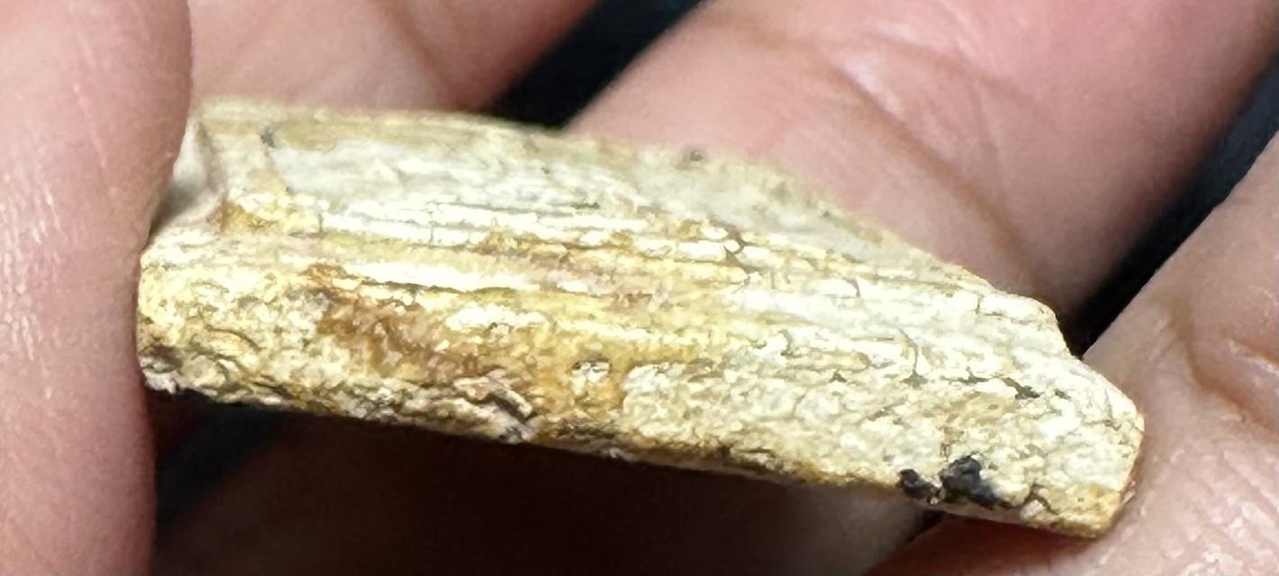 พระสมเด็จเกจิ ไม่ทราบที่ 7