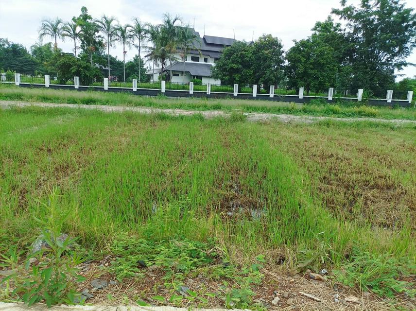 ขายที่ดิน ราคา8,500บาท/ตร.ว. ต.สำราญราษฏร์ อ.ดอยสะเก็ด จ.เชียงใหม่ 10