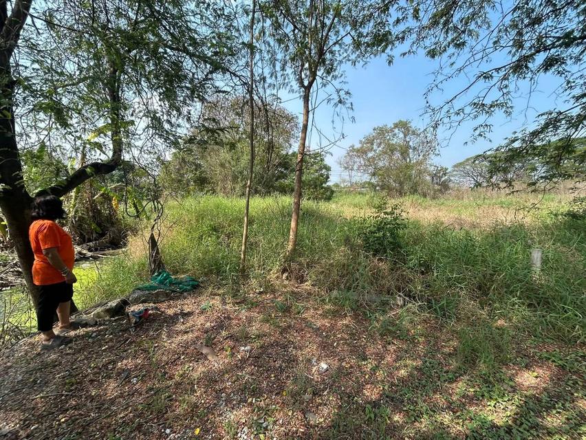 ที่ดินเปล่า (เคยเป็นที่ดินทำนามาก่อน) 2