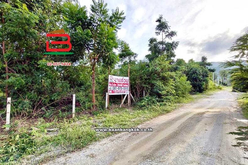 ที่ดินเปล่า ซอยสามร้อยยอด 23 เนื้อที่ 330 ตร.ว (ใกล้หาดสามร้อยยอด) ถนนเพชรเกษม ตำบลสามร้อยยอด อำเภอสามร้อยยอด จังหวัดประจวบคีรีขันธ์ 2