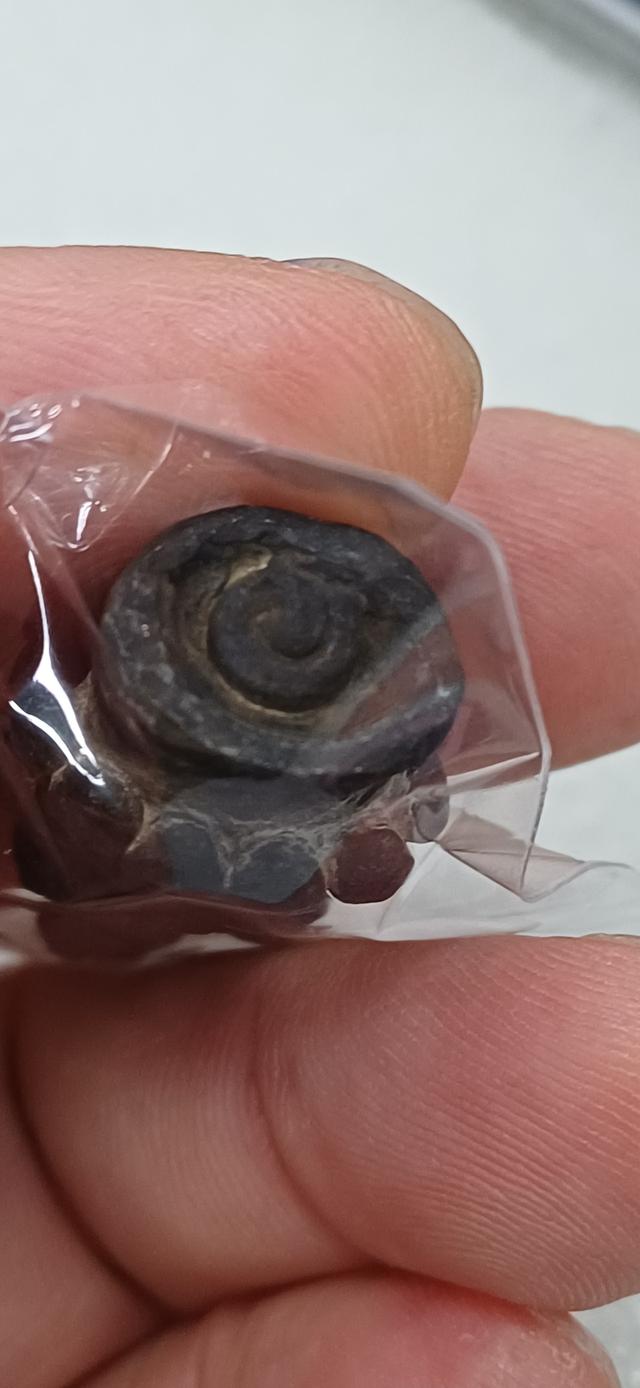 พระกริ่งตั๊กแตนเขมร เนื้อสำริดเงินเก่า รูปที่ 4