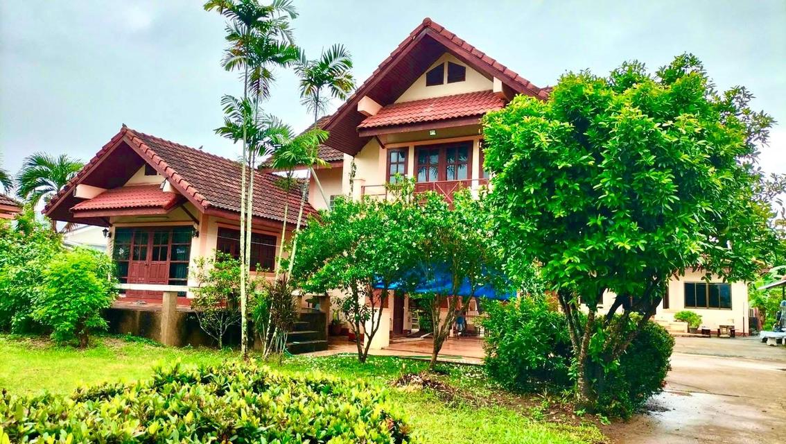 ขายบ้านพร้อมที่ดินสวยๆ ทำเลดี ใกล้จุดสำคัญหลายๆที่ 5