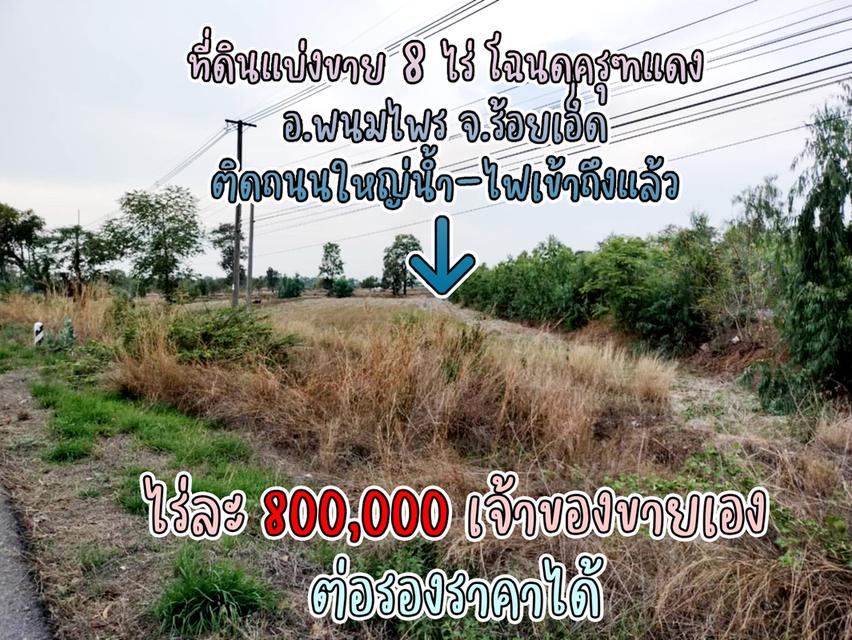 ที่ดินแบ่งขาย 8 ไร่ ราคาไร่ละ 800,000 พร้อมโฉนดครุฑแดง น้ำไฟผ่าน ติดถนนใหญ่ จ.ร้อยเอ็ด เจ้าของขายเอง ราคาต่อรองราคาได้ สนใจติดต่อ 084-4327718 13