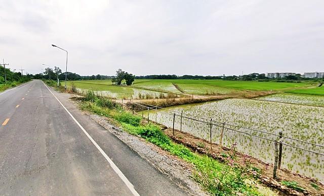 2 ขาย ที่ดิน ที่ดิน พิจิตร ชั้นที่ 1 พิจิตร ใกล้กับ สถานีรถไฟพิจิตร 880000 บาท 6