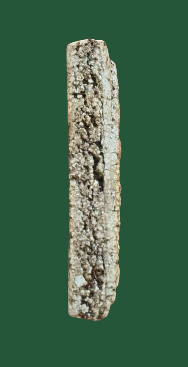 พระสมเด็จวัดระฆังพิมพ์ใหญ่ รูปที่ 4