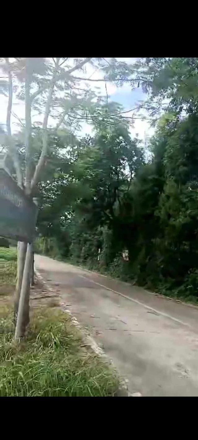 ขายที่ดินติดถนน 304 ใกล้ รพ.จุฬารัตน์ 5