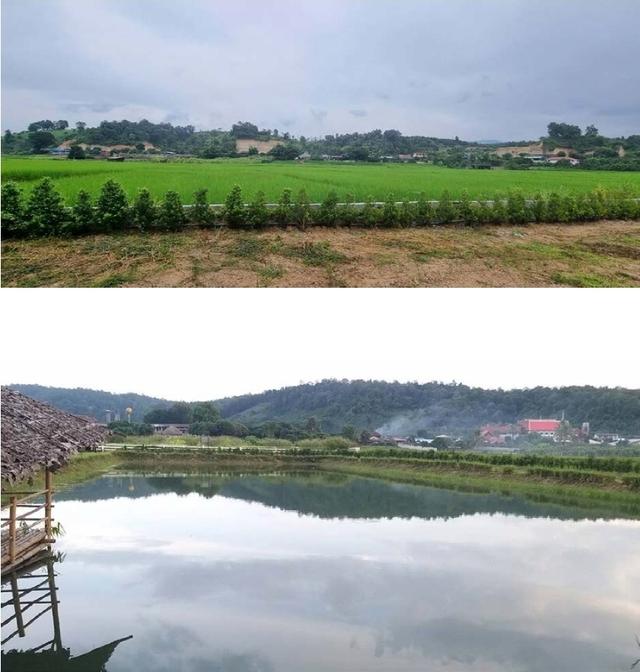 ขายที่ดินอ.เชียงดาว​ จ.เชียงใหม่ 11