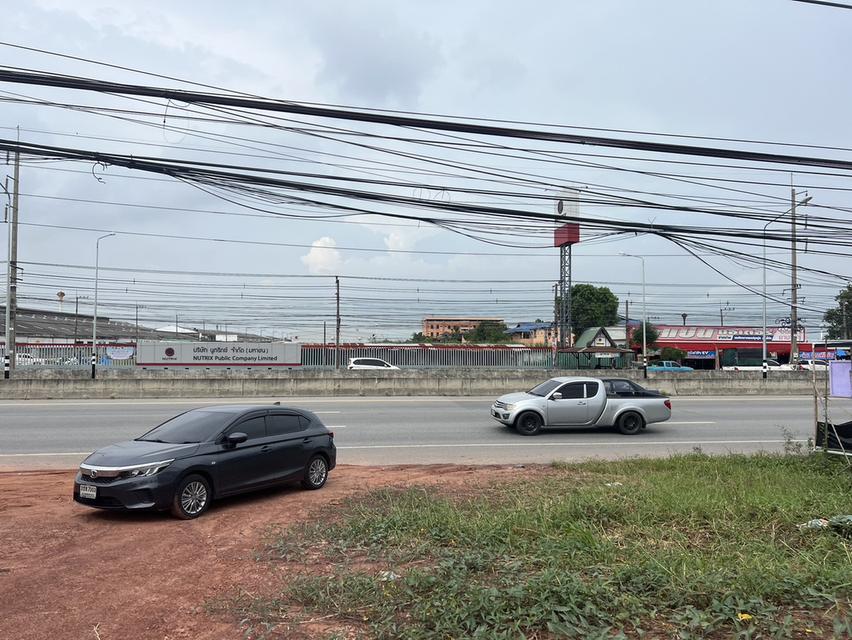 ที่ดิน ติดถนนสุวินทวงค์ ทำเลค้าขาย ฉะเชิงเทรา กรุงเทพ ขนาด 544 ตรวา 16.9 ล้าน 13