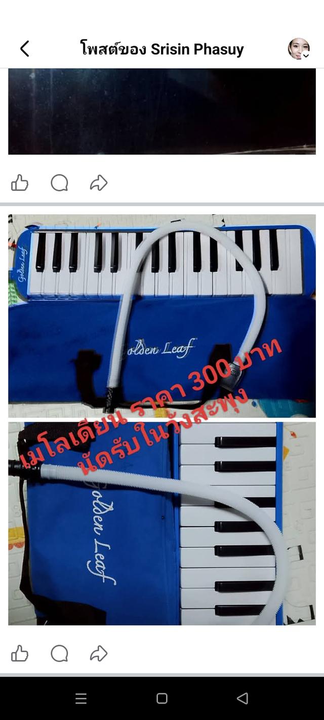 เมโลเดียนเครื่องดนตรี รูปที่ 2