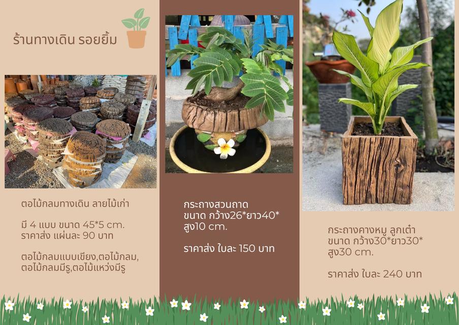 กระถางปูน แผ่นทางเดิน ลายไม้เก่า 🌳