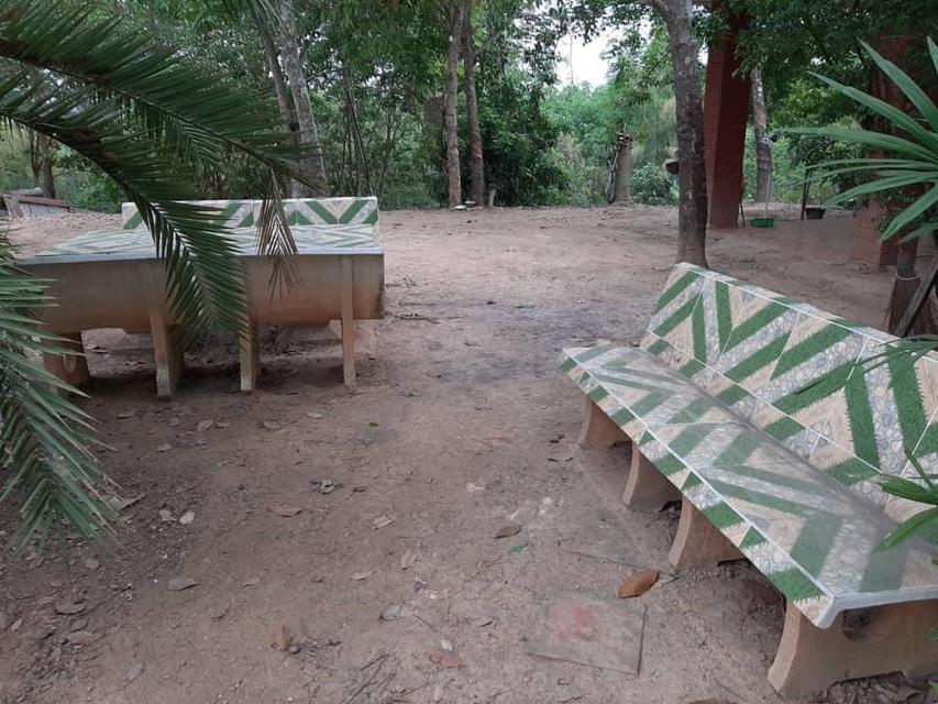 ขายที่ดินแปลงใหญ่ 148 ไร่ เป็นสวนยางพารา ที่มีโฉนด 6