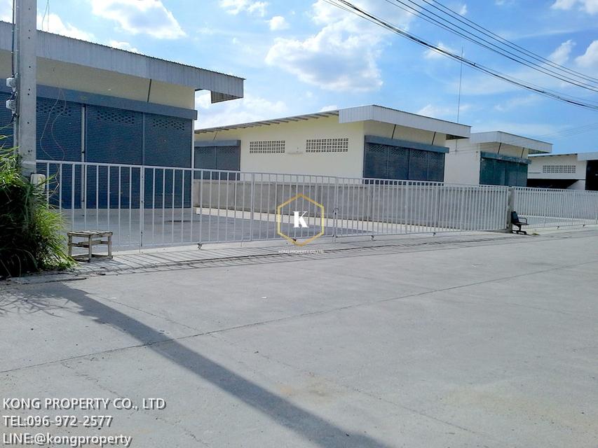 ให้เช่าโกดัง พุทธมณฑลสาย2 ทวีวัฒนา กรุงเทพ 250-400 ตรม 4