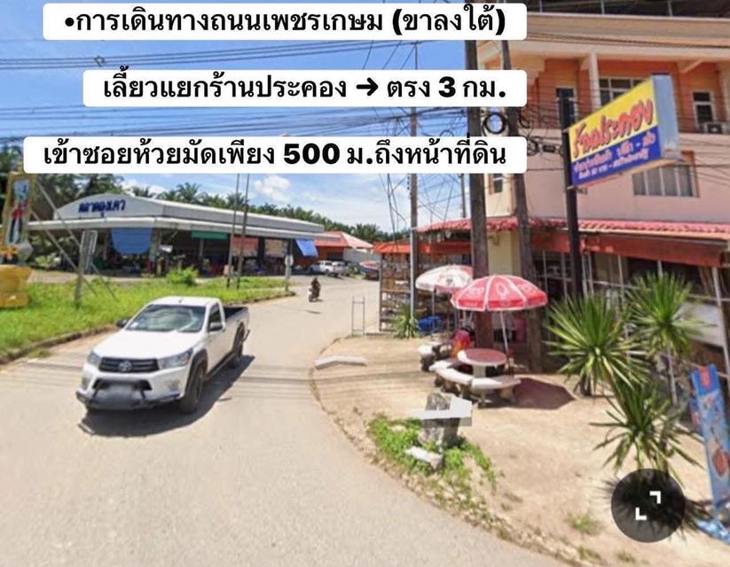 ที่ดินจังหวัดชุมพรหลังสวน 6