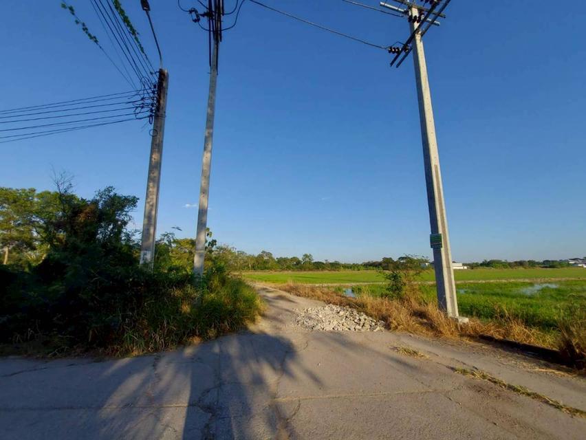 ขายที่ดินเปล่า ซอยวัดสุขใจ 14 แยก 4 คลองสามวา กรุงเทพมหานคร 5