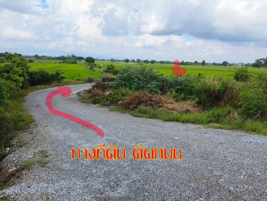  ประกาศขายที่ดิน พิษณุโลก 4