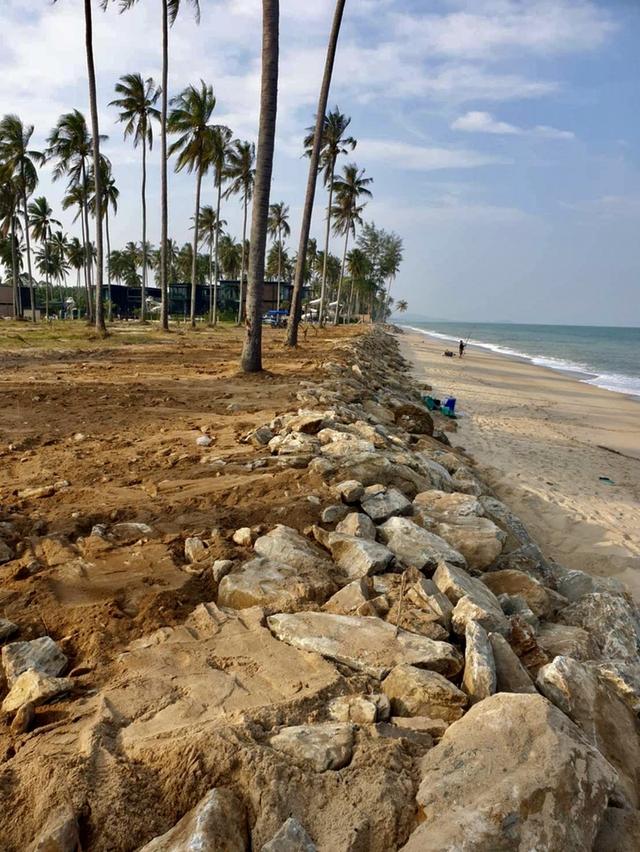 ที่ดินติดทะเลหาดเสาเภา อ.สิชล จ.นครศรีธรรมราช - 5 ไร่ 6