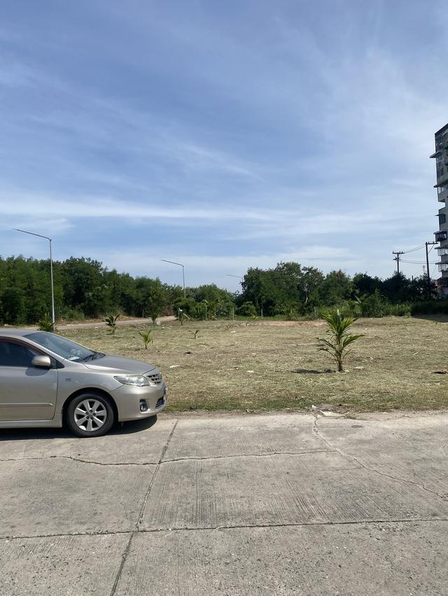 ขายที่ดิน ใกล้โรงพยาบาลศูนย์มะเร็ง ชลบุรี ติดถนน 2 ฝั่ง 7