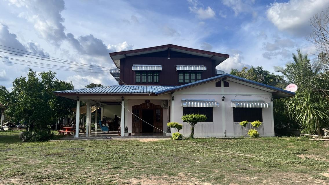 โอกาสเป็นเจ้าของที่ดินแปลงสวย! 2ไร่2งาน 99 ตรว.แถมสิ่งปลูกสร้างพร้อม 1