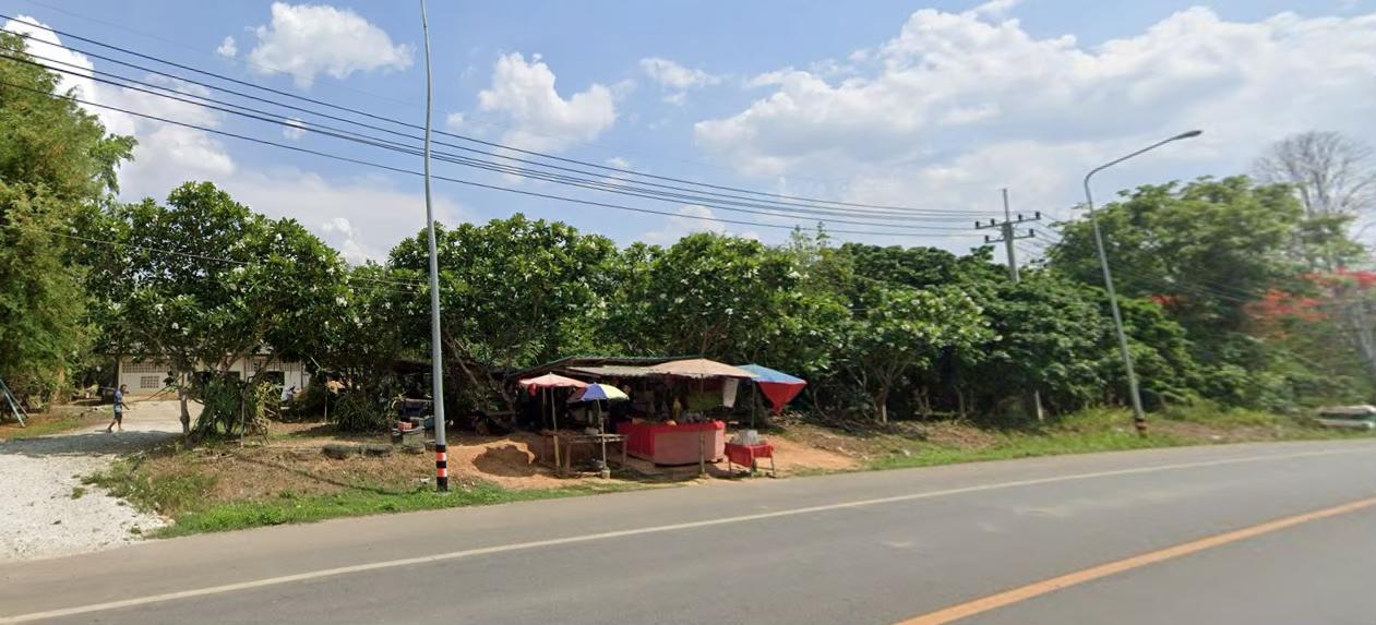 🏡ขายที่ดิน แม่แตงเชียงใหม่ ติดถนนหลัก แม่แตง-ปาย  พร้อมสวนยางพารา สวนลำใย พื้นที่ 31-3-44 ไร่ 1