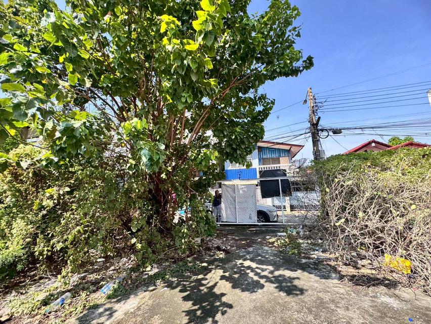 ขายที่ดินถมแล้ว ซอยลาซาล 26 ทำเลดี ห่างจากปากซอย 250 เมตร (N.1930) 2