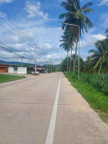 ขายที่ดินศรีราชา 24 ไร่ 1 งาน 99 ตารางวา พื้นที่สีเหลือง ขายราคาไร่ละ 1.5 ล้านบาท ห่างท่าเรือแหลมฉบังประมาณ 30 กิโล 4