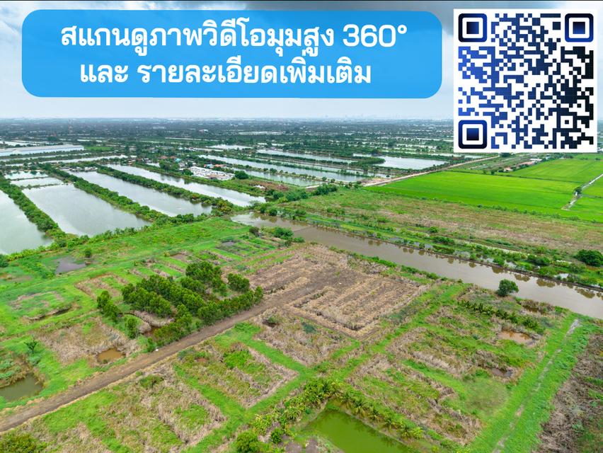 ขายที่ดิน ลาดกระบัง-สนามบินสุวรรณภูมิ ใกล้Siam Premium Outlets เพียง 3 กม. (ซอยติดกับตลาดเทิดไท) 15