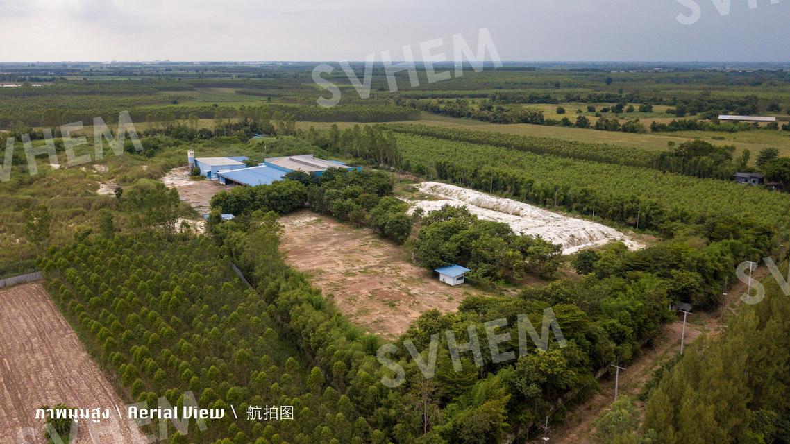 ขายที่ดินอุตสาหกรรม 50 ไร่ 23 ตรวา พร้อมใบอนุญาต รง4 จังหวัดปราจีนบุรี Industrial Land for Sale – approx 80000 sqm, รง4 Certified 3