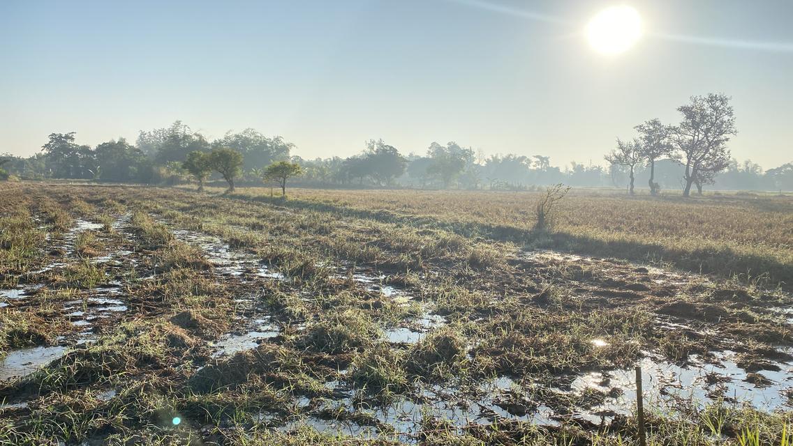 ขายที่ดิน 4 ไร่ 2.7ล้าน ในเมืองชัยภูมิ บ้านโพนทอง สี่แยกโรงต้ม 3