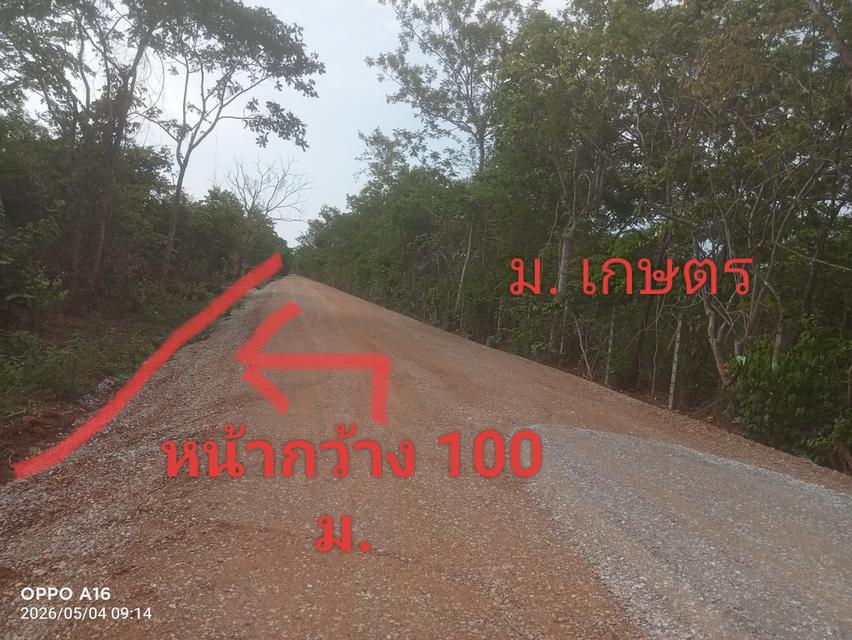 ที่ดินเปล่าโฉนดครุธแดง 1