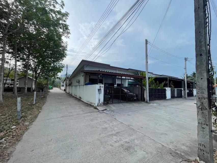 ที่ดิน100 ตรว ป่าคลอกครับ 5