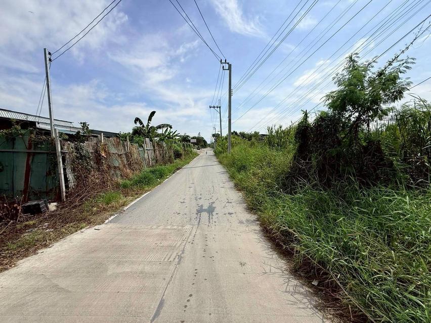 Vายด่วนที่ดินบ้านใหม่ 199 ตารางวาทติดถนนลาดยาง มีไฟฟ้า 3 เฟส ซอย เคหะ-บ้านใหม่ 21 อ.บางใหญ่ จ.นนทบุรี 10