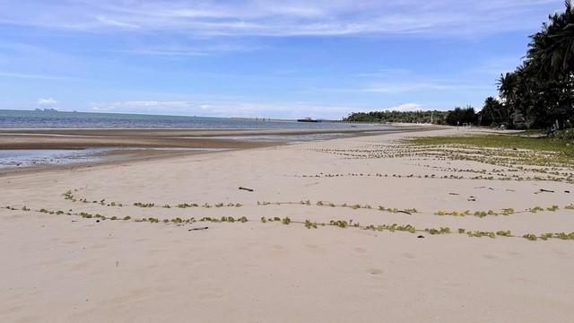 เลือกสรรทรัพย์ดีเติมเต็มชีวิต ขายที่ดินริมหาดสะพลีทรายขาวน้ำใสคราม สวยงามวิวทะเลธรรมชาติสุดสุด ปะทิวใกล้หาดสวยทุ่งวัวแล่