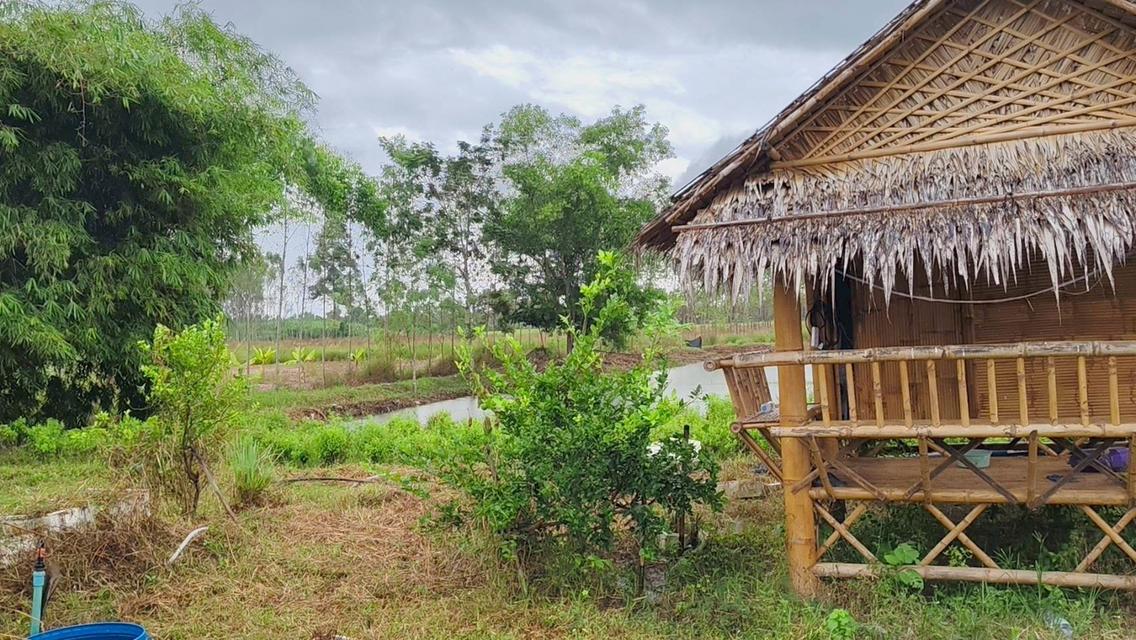 ที่ดินแปลงใหญ่ 16 ไร่ ถมแล้ว ติดถนนลาดยาง สระแก้ว 10
