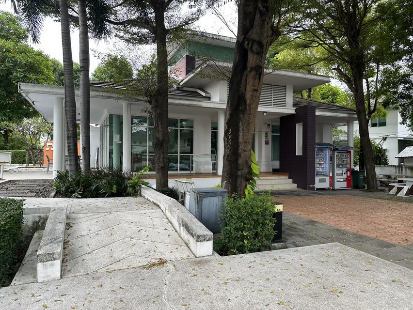 ขายบ้านเดี่ยว 2 ชั้น ม.ชัยพฤกษ์วัชรพล สายไหม ทำเลดี เดินทางสะดวก ใกล้รร.สารสาสน์วิเทศสายไหม 12