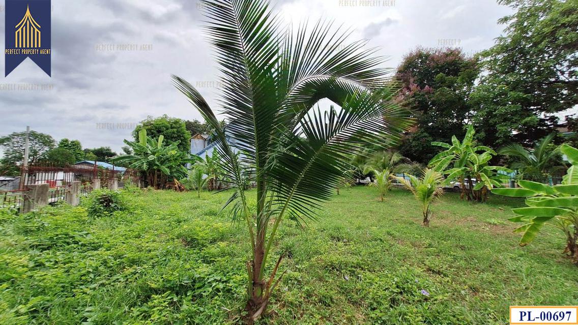 ขายที่ดินถมแล้ว ชวนชื่นพาร์ควิลล์ ทวีวัฒนา ตลิ่งชัน บางระมาด 8