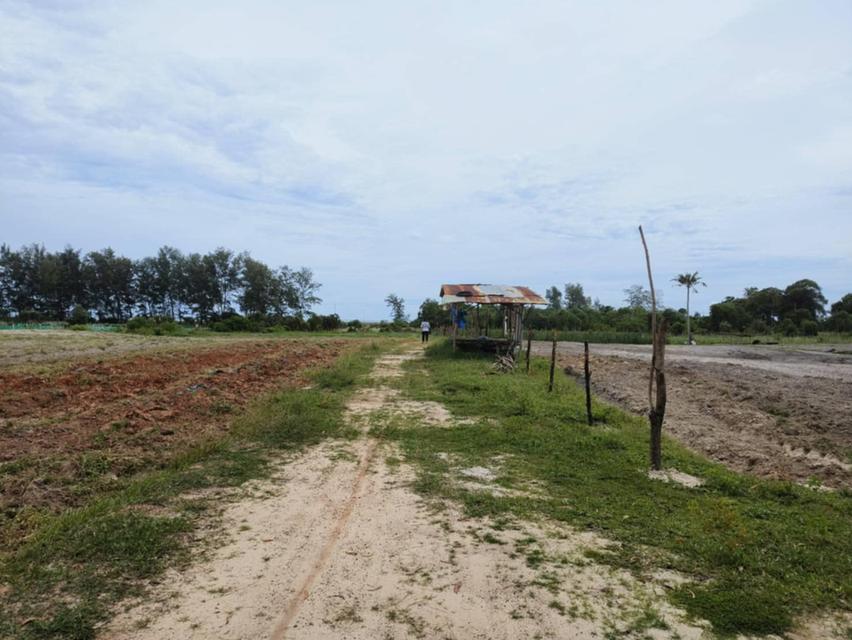 ที่ดิน 12 ไร่ 3 งาน ใกล้หาดบ่ออิฐ ติดถนนสายหลัก สายรอง 6