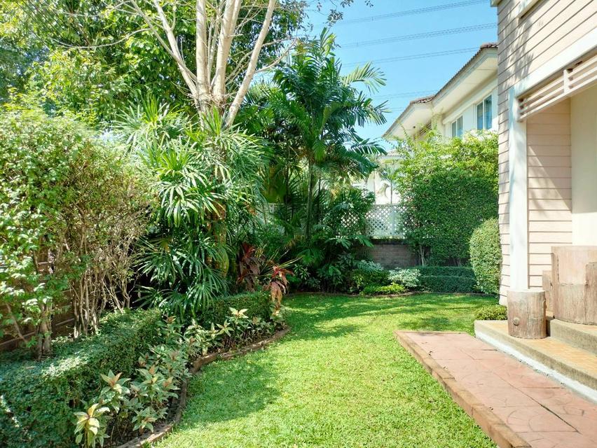 💢🚩บ้านเดี่ยว  ติดสวน ทำเลดี 🏠 คาซ่าวิลล์ บางนา สุวรรณภูมิ 20