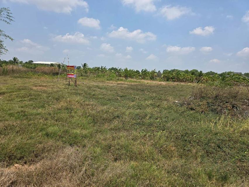 ขายที่ดิน 400 ตรว  วิวรถไฟ  บางแก้ว เมืองฉะเชิงเทรา 4