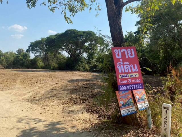 ขายที่ดิน 3 แปลงรวม 340 ตร.วา ราคา ตร.วาละ 12,000 บาท เมืองเพชรบูรณ์ 1