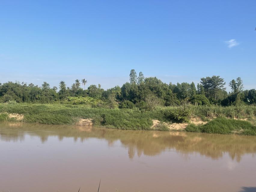 ขายที่ดินติดริมแม่น้ำน่าน อำเภอชุมแสง จังหวัดนครสวรรค์ 9