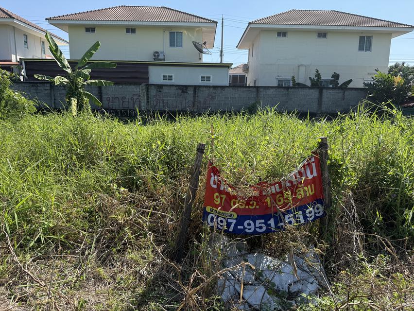 ที่ดินถมแล้ว ไทรน้อย 4