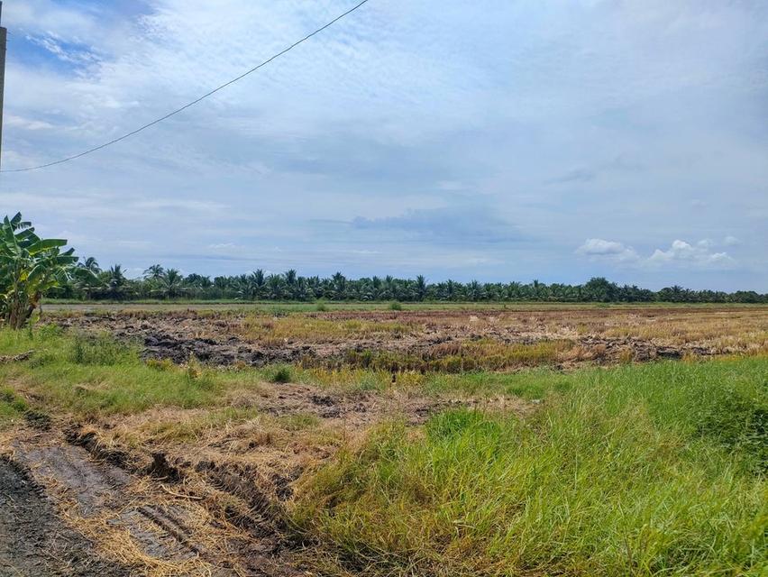 ขายที่ดินเปล่าในถนนร่วมพัฒนา เขตหนองจอก กรุงเทพมหานคร 9