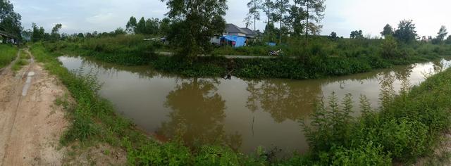 ขายที่ดินติดคลอง 4
